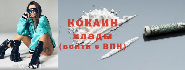 молекула духа Арсеньев