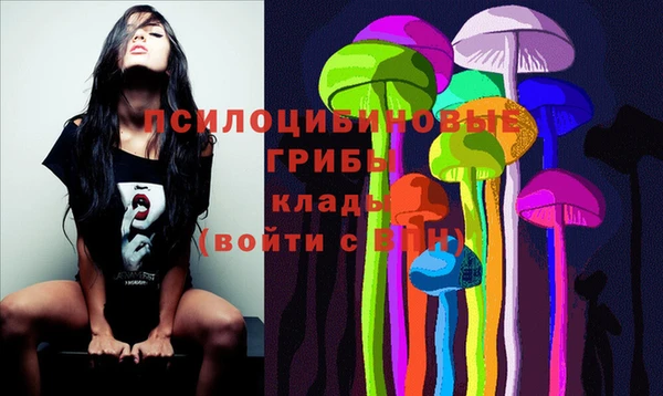 гидропоника Балахна
