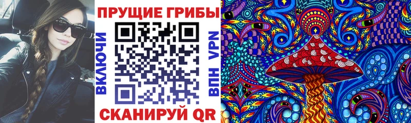 Псилоцибиновые грибы мицелий  Макаров 